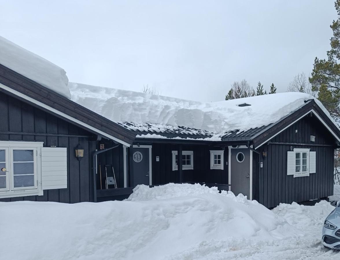 Baybu - Cabin Close Geilo Skisenter And The Center Of Geilo Villa Dış mekan fotoğraf