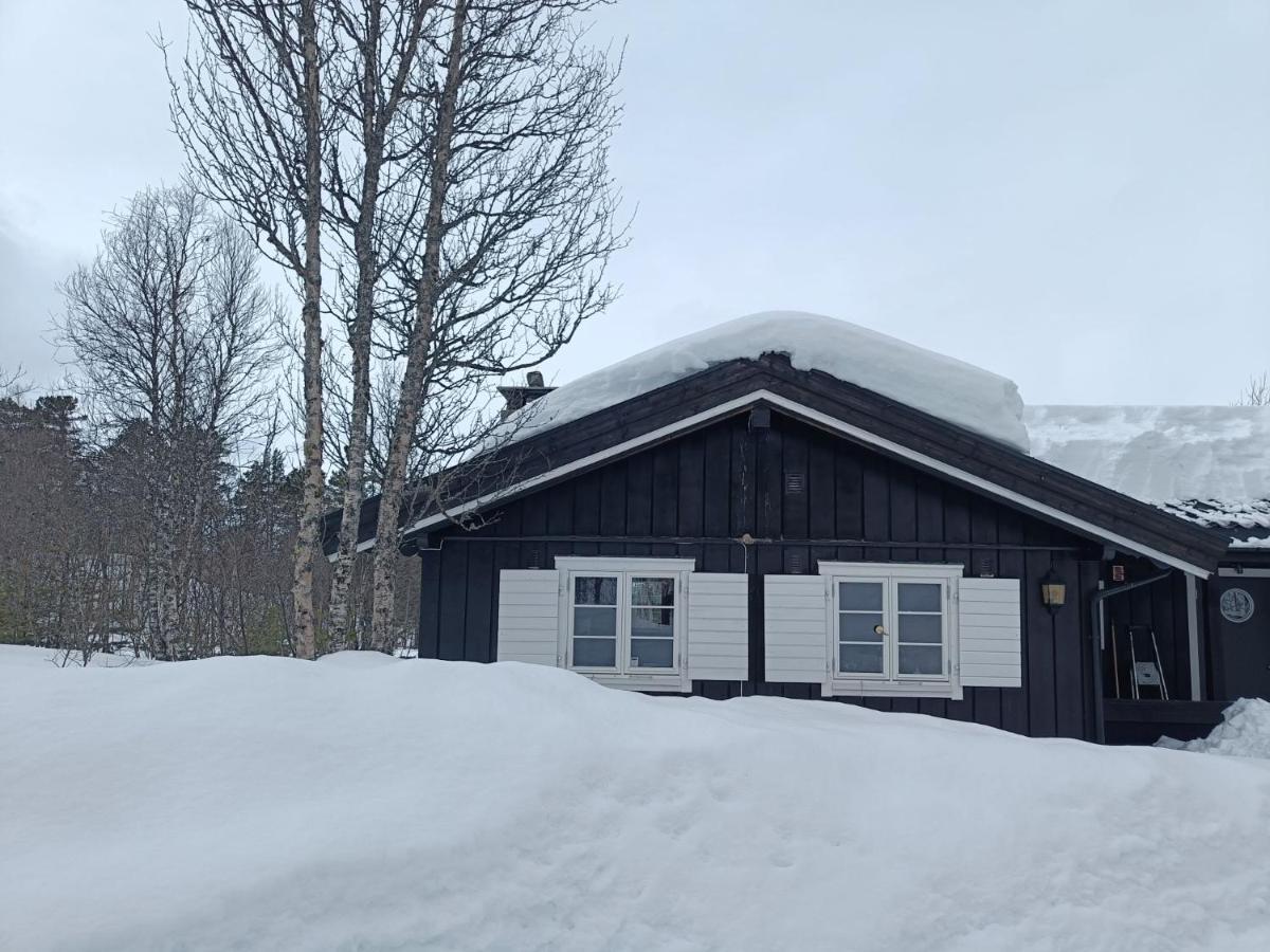 Baybu - Cabin Close Geilo Skisenter And The Center Of Geilo Villa Dış mekan fotoğraf