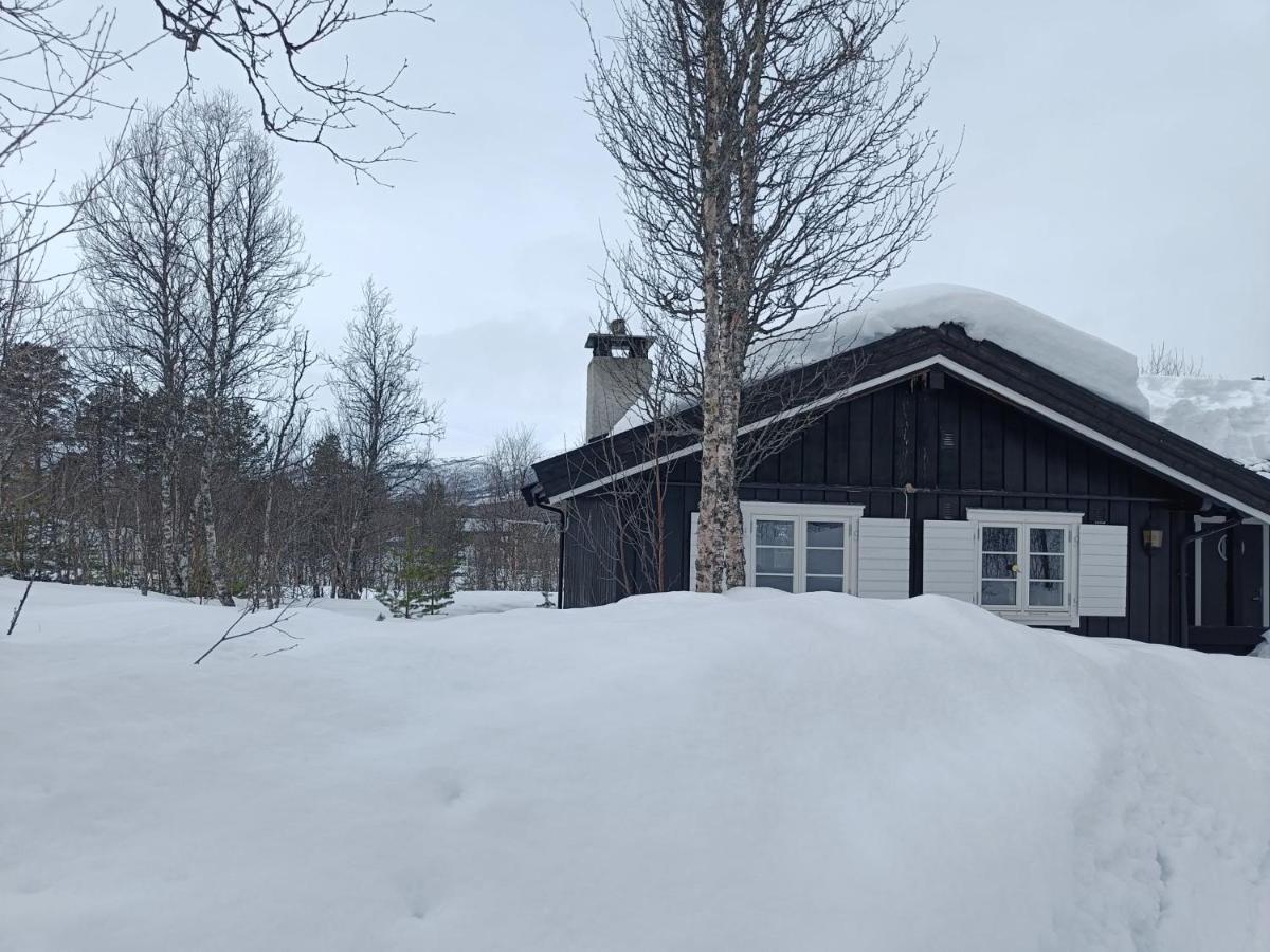 Baybu - Cabin Close Geilo Skisenter And The Center Of Geilo Villa Dış mekan fotoğraf