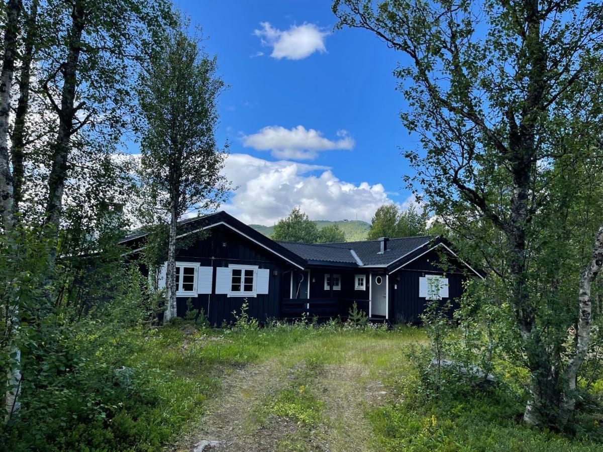 Baybu - Cabin Close Geilo Skisenter And The Center Of Geilo Villa Dış mekan fotoğraf