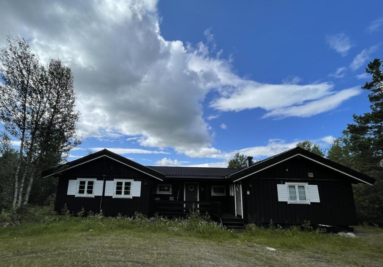 Baybu - Cabin Close Geilo Skisenter And The Center Of Geilo Villa Dış mekan fotoğraf