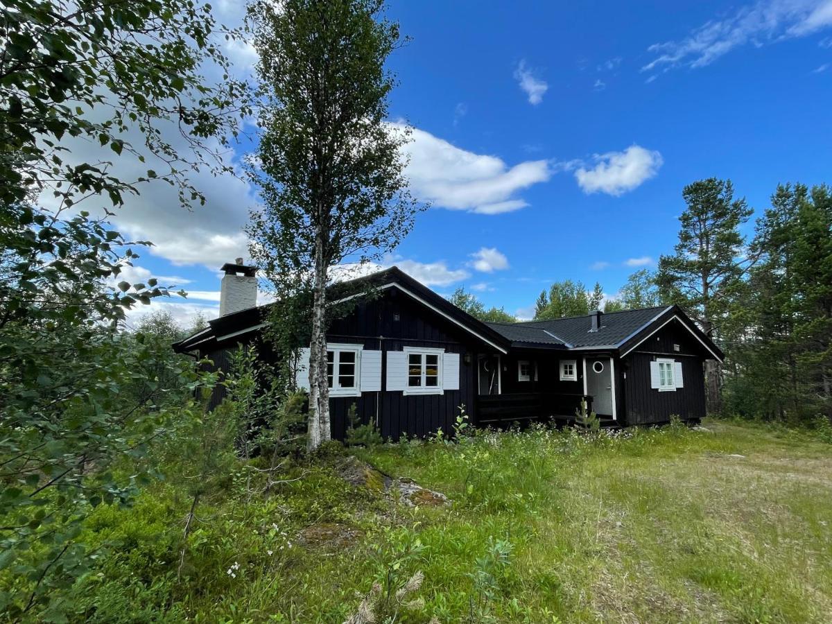 Baybu - Cabin Close Geilo Skisenter And The Center Of Geilo Villa Dış mekan fotoğraf