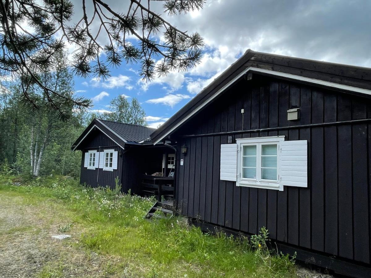 Baybu - Cabin Close Geilo Skisenter And The Center Of Geilo Villa Dış mekan fotoğraf